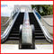 L'escalator adapté aux besoins du client de promenade mobile partie l'étape/éclairage de balustrade bordant le panneau